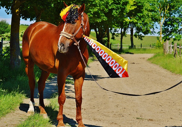 血脉压制！雄鹿近30次对阵活塞赢下其中28场