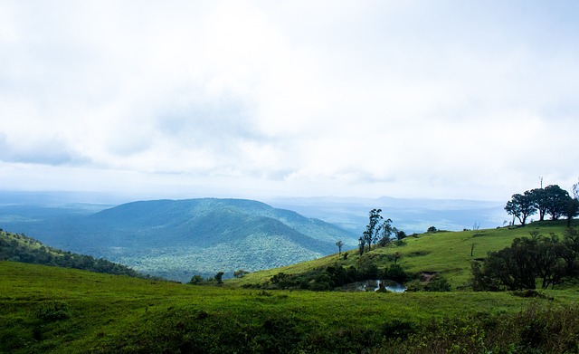 这一动作可 这一动作可