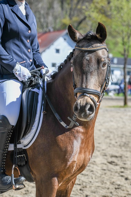 部发言人明 部发言人明