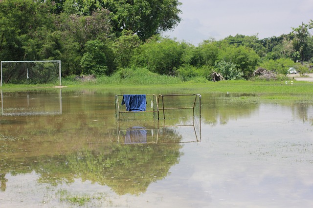 却展示了足 却展示了足