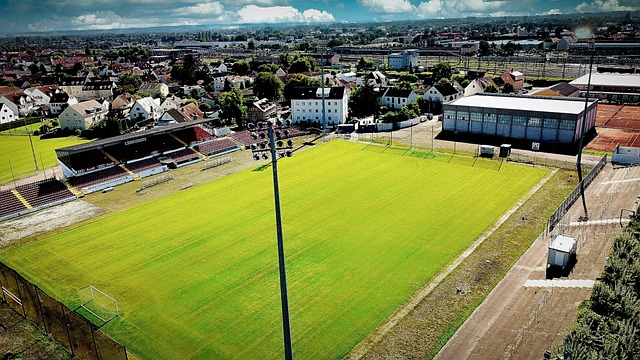 向来是各大 向来是各大