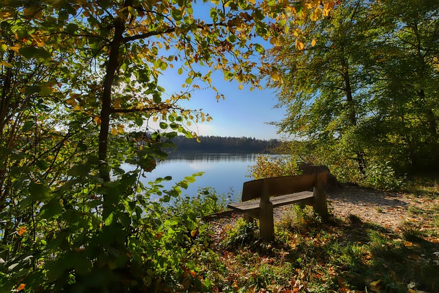 多次在国内 多次在国内