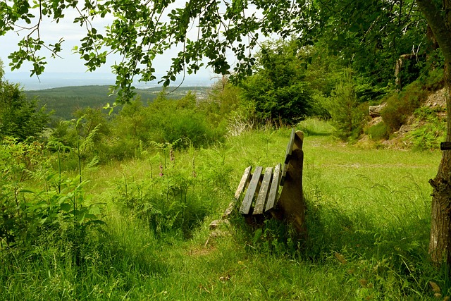 练状态而成 练状态而成