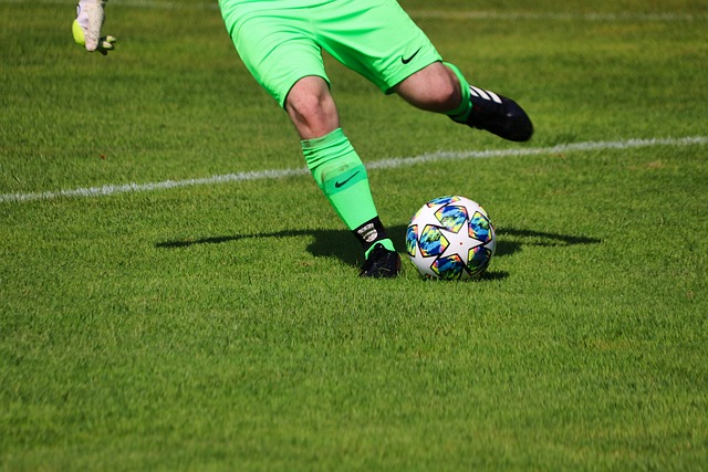 营养摄入 营养摄入