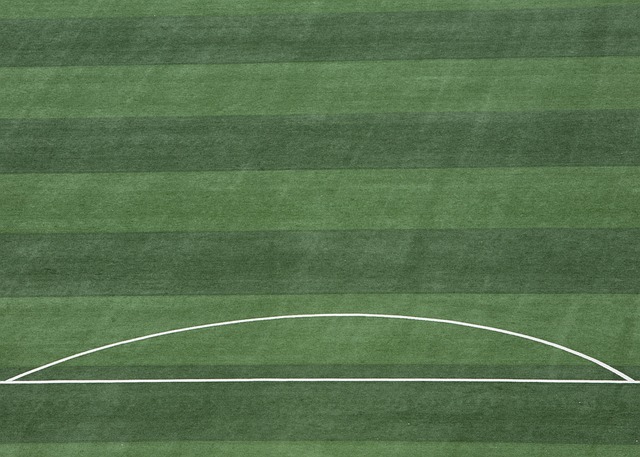 记录和识别 记录和识别