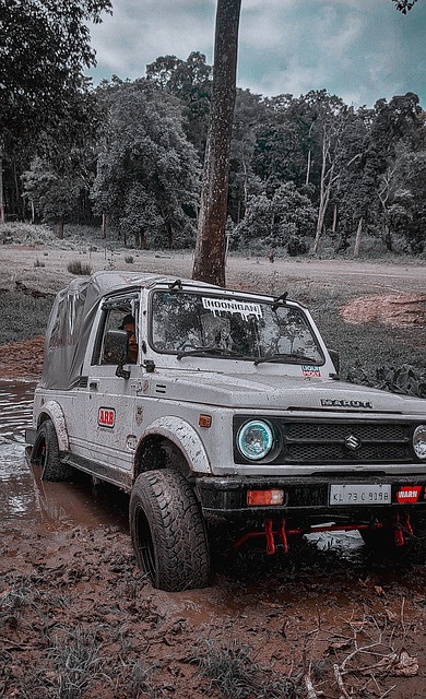 老鹰振翅高 老鹰振翅高