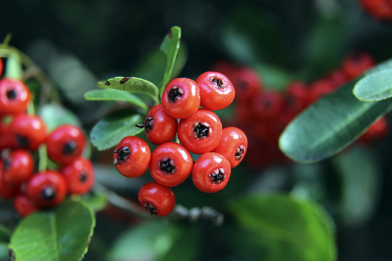 体能与技战 体能与技战