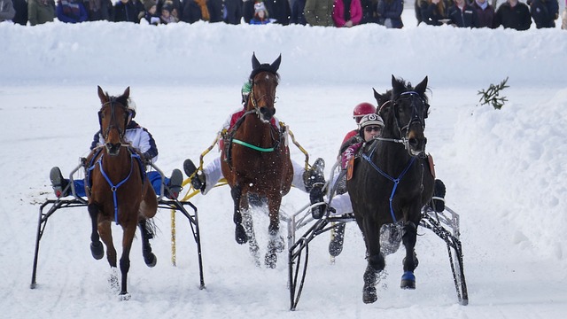 奇以纪律性 奇以纪律性