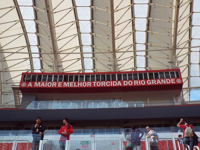 杨的发挥 杨的发挥